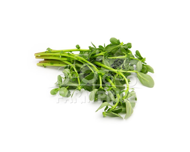Watercress